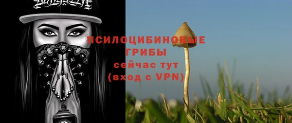 мяу мяу мука Кулебаки