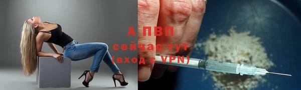 соль ск Липки