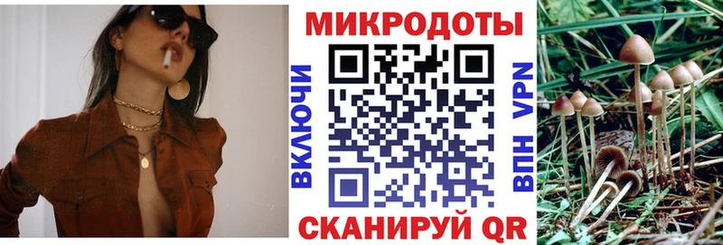 Галлюциногенные грибы Psilocybine cubensis Топки