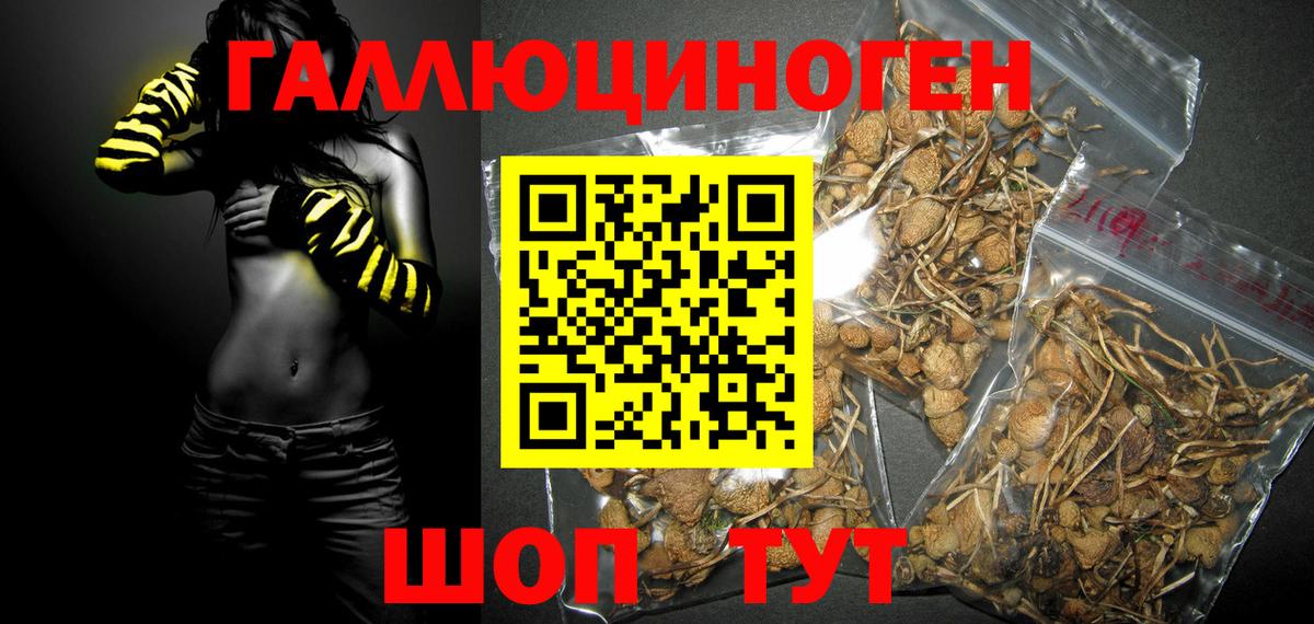 Галлюциногенные грибы прущие грибы Топки