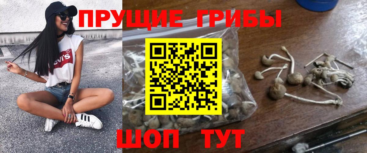 Псилоцибиновые грибы прущие грибы  Вход с VPN  Топки 